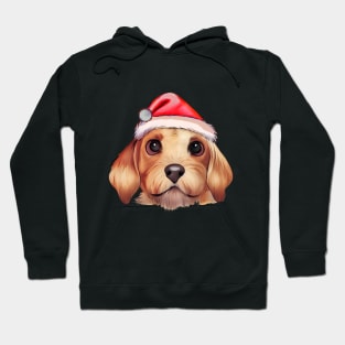 Funny Christmas Dog Hoodie